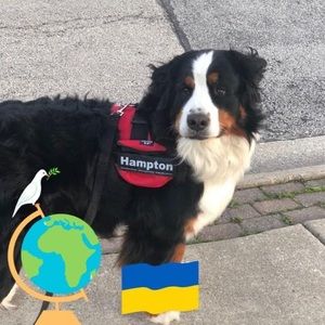 Meet your Posher, Kari